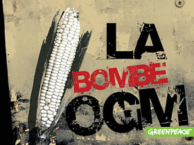 La bombe OGM