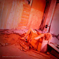 Waste me: autoportrait de nu dans une usine