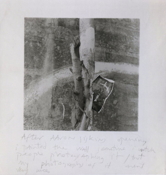 Francesca Woodman: notes