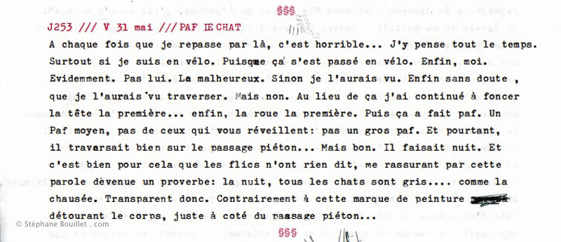 J253 /// PAF LE CHAT