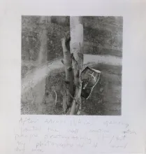 Francesca Woodman: notes