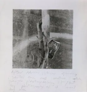 Francesca Woodman: notes