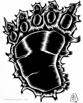 J256 /// BEAR FOOT ? OR BAREFOOT ?