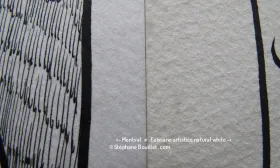 Comparatif papier coton  et papier cellulose
