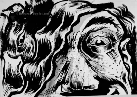 J340 /// WENZHOU JOUR ? WENZHOU NUIT ?