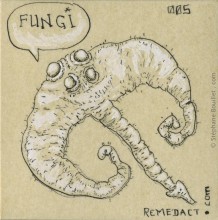 Fungi