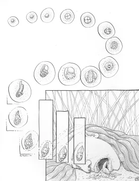 J179 /// Charmed - page 1