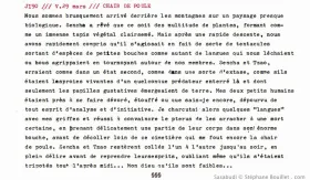 J190 /// CHAIR DE POULE