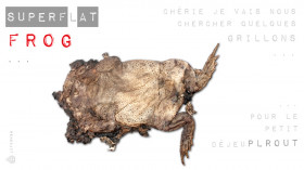 SuperF(l)at frog