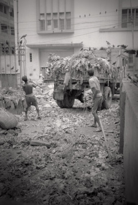 Éboueurs en Inde