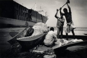 Découpe des hélices au Bangladesh