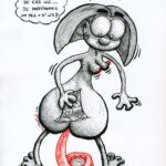 Illustration du déséquilibre en Acide gras w6 w3