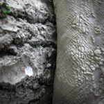 Ecologie homme et nature