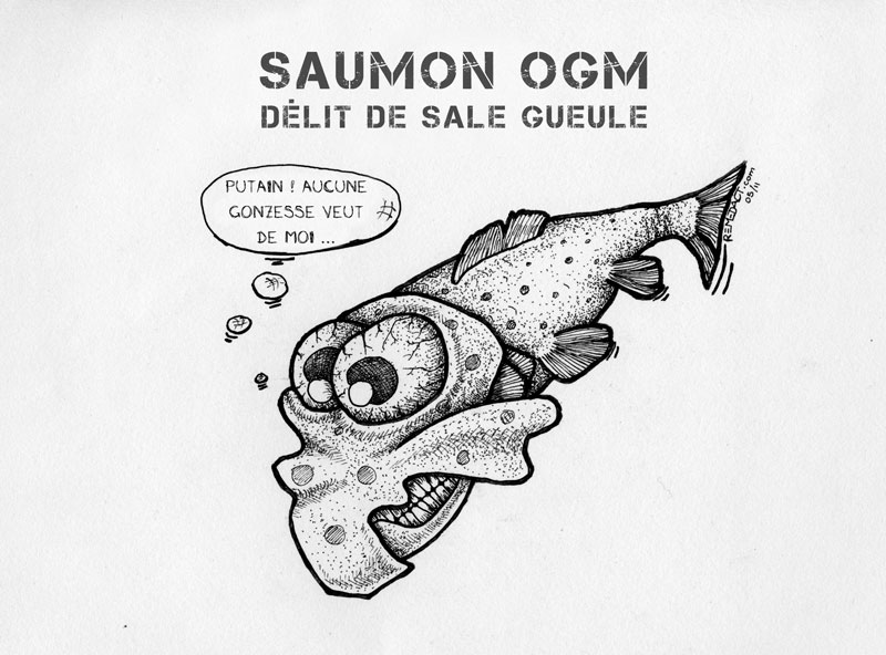 Saumon OGM
