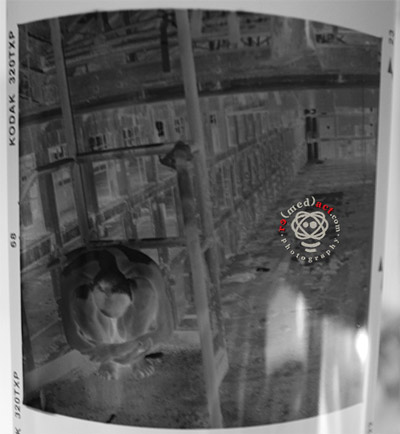 Waste me | Première image…