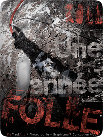 2011 | Une folle* année