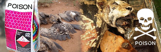 Stopwildlifepoisoning