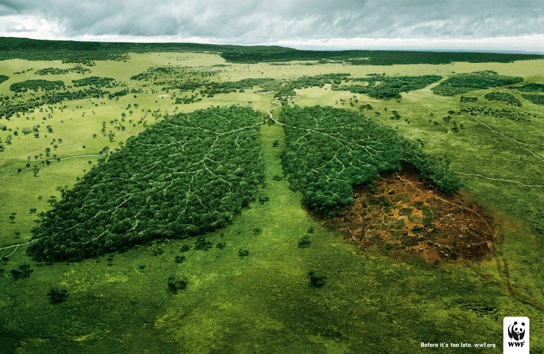 CO2 & cancer