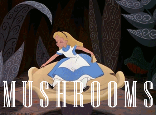 Alice au pays des merveilles: les champignons halucinogènes