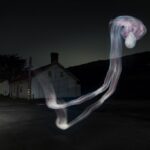 Le Projet 12:31 fait apparaitre le fantôme d'un condamné à mort...