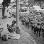 (g)norphine, Héroïnomanes dans les rues de Kolkata, Inde