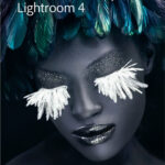 Adobe lightroom 4 voit son prix baisser de moitié !