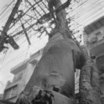 Arbre électrique et statuette