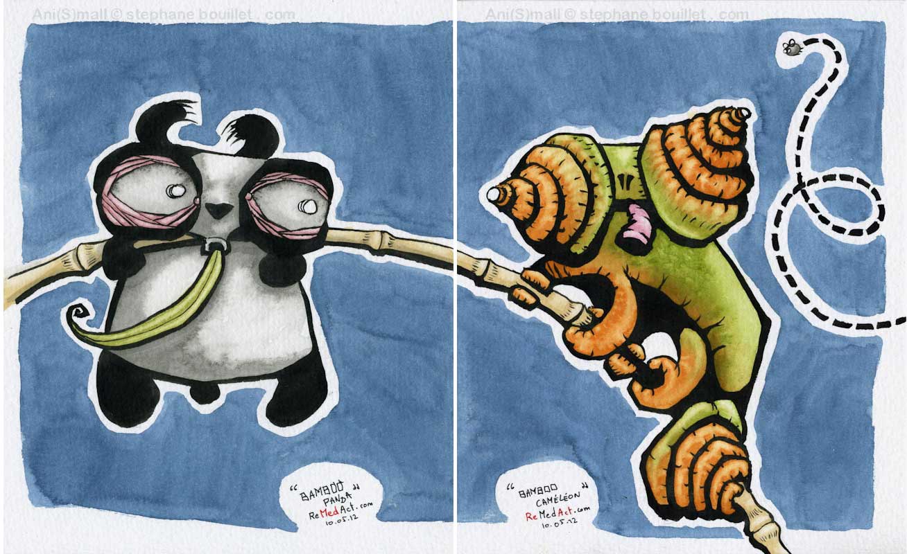 Bamboo caméléon & Panda