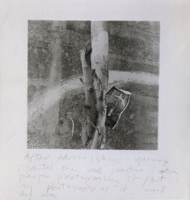 Francesca Woodman: notes