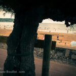 Arbre interdit de baignade