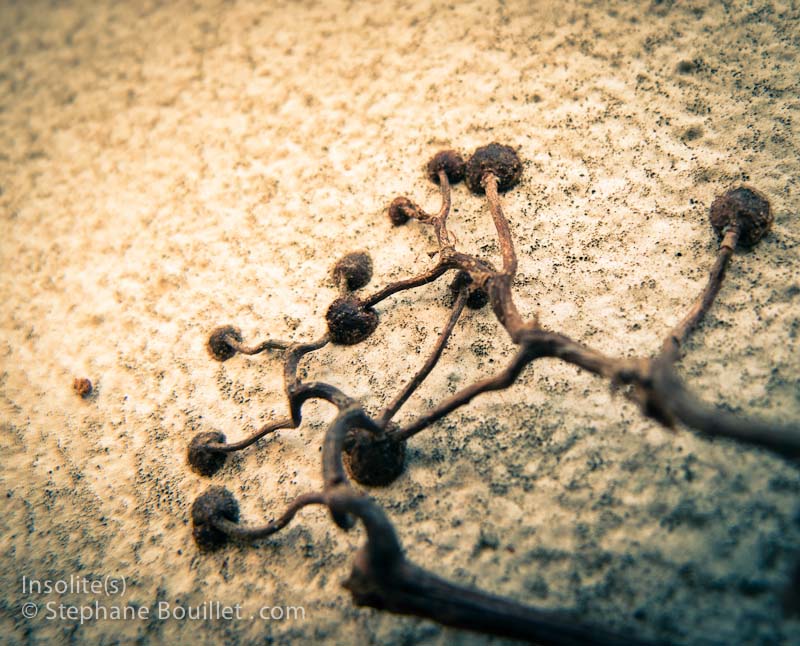 Main d&rsquo;extra-terrestre