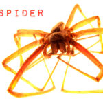 Nano Spider