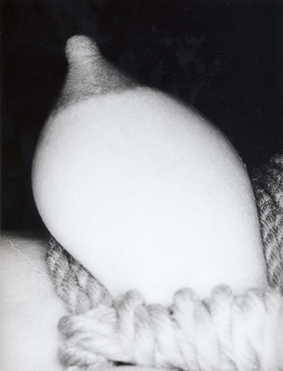 Nobuyoshi Araki