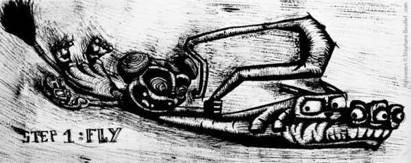 Step 1: Fly