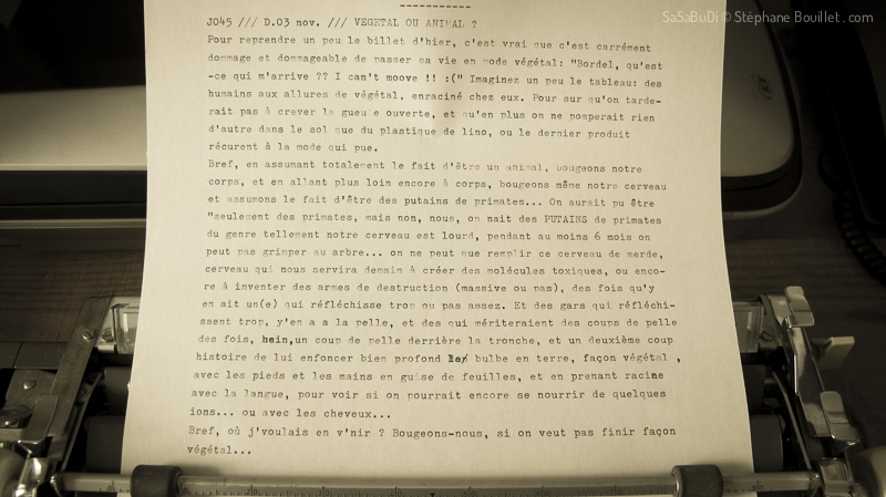 J045 /// Végétal ou animal ?