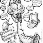 J089 /// France Didgeridoo