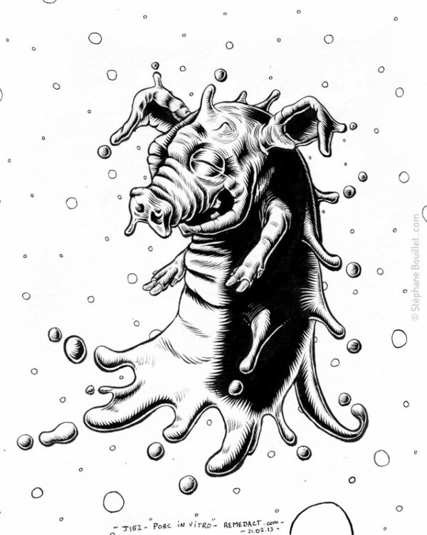 J152 /// Porc in vitro