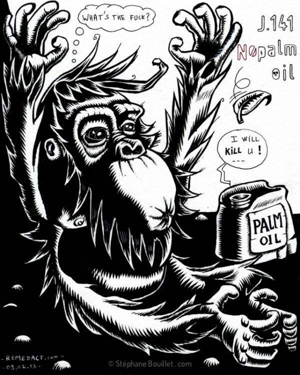 J141 /// MACAQUES ORANGES