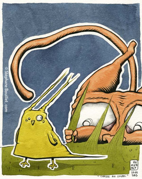 J246 /// CHASSE AU CANARI