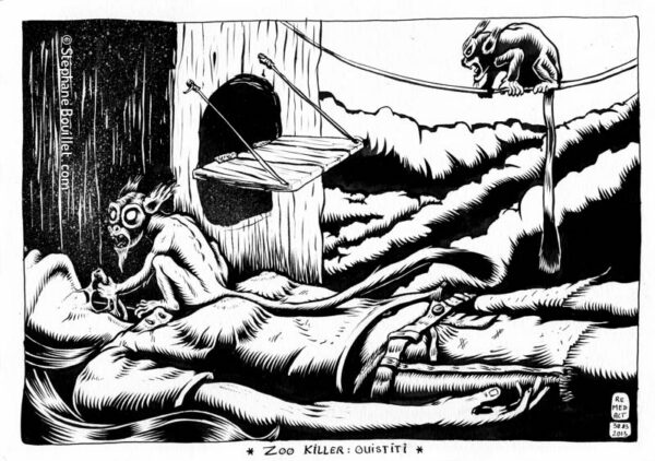 J221 /// ZOO KILLER : OUISTITI