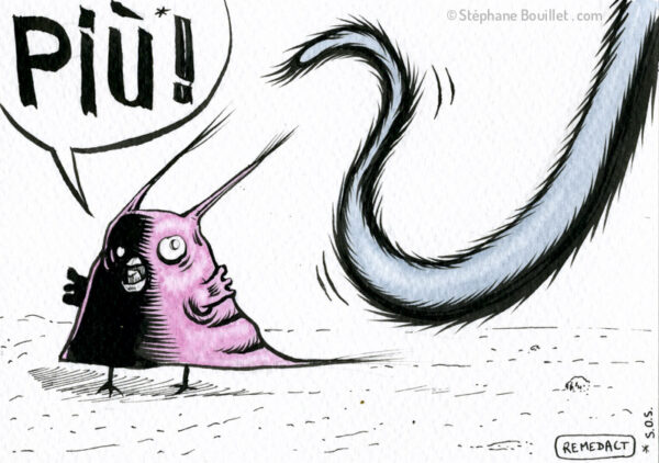 J239 /// Q.I. et le chat