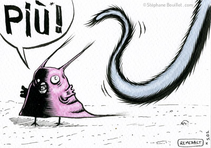 J239 /// Q.I. et le chat