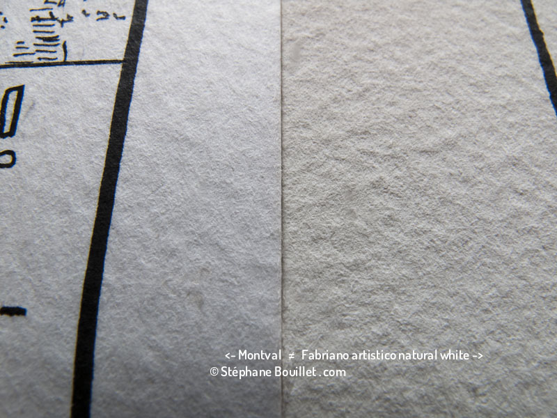 Papier: coton ou cellulose ?