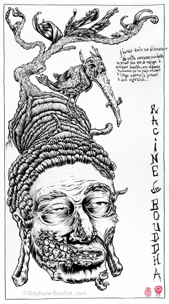 J338 /// Racine de Bouddha