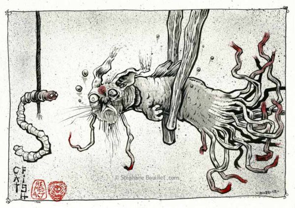 J345 /// Dessin spontanné /// Catfish