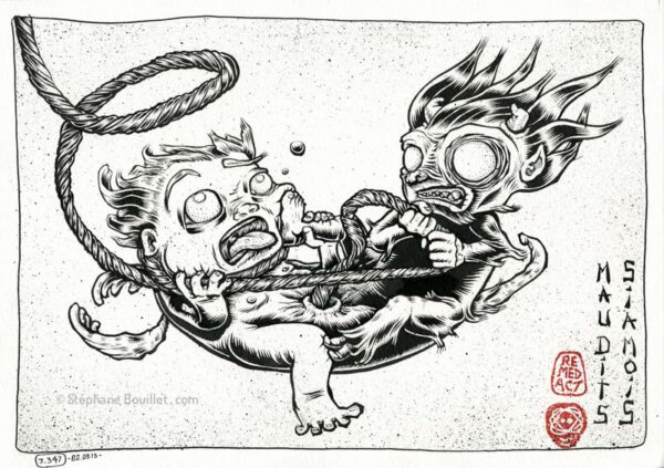 J347 /// MAUDITS SIAMOIS