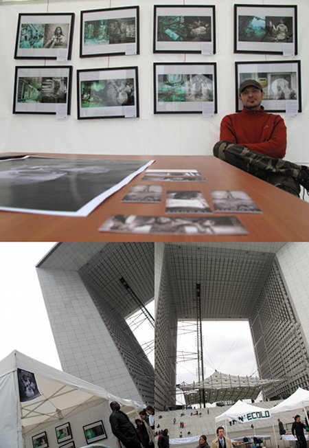 Bhopal: cause2effect