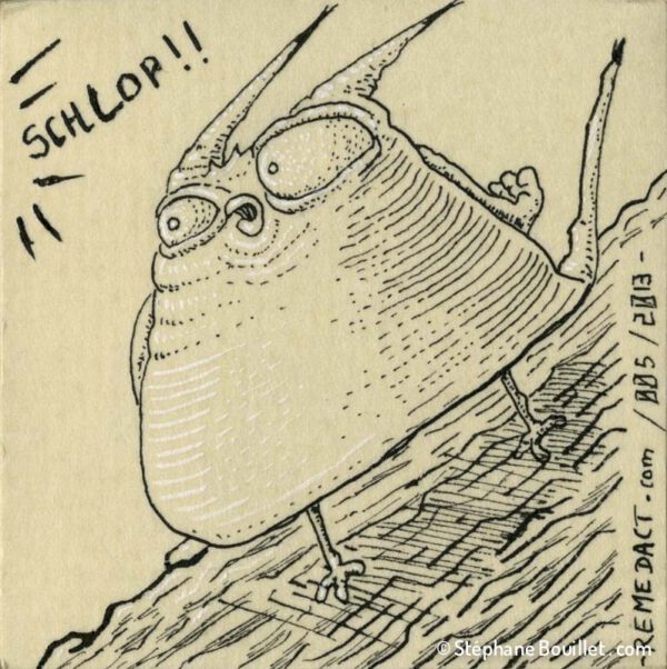 Q.I. devant le grand Schlop