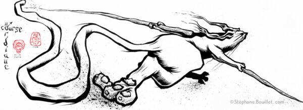 J234 /// Course nordique