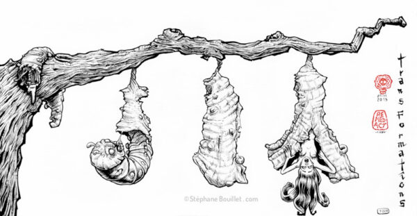 J227 /// Trans-formations